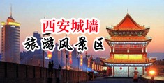 骚妇网站视频在线播放中国陕西-西安城墙旅游风景区